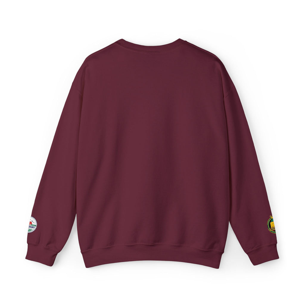 Content Creator Sweatshirt | Embroidered Script Logo, White Crewneck